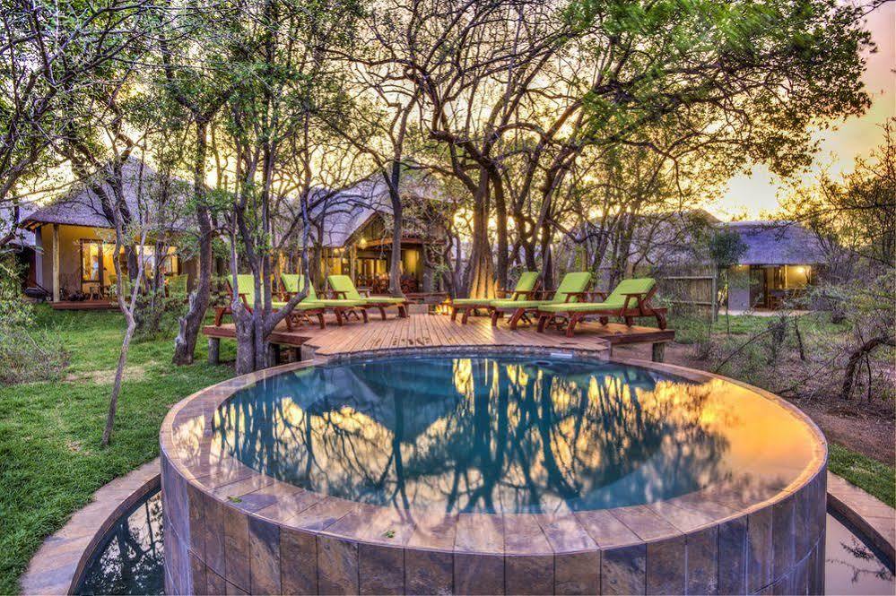 Tambuti Lodge Pilanesberg Zewnętrze zdjęcie
