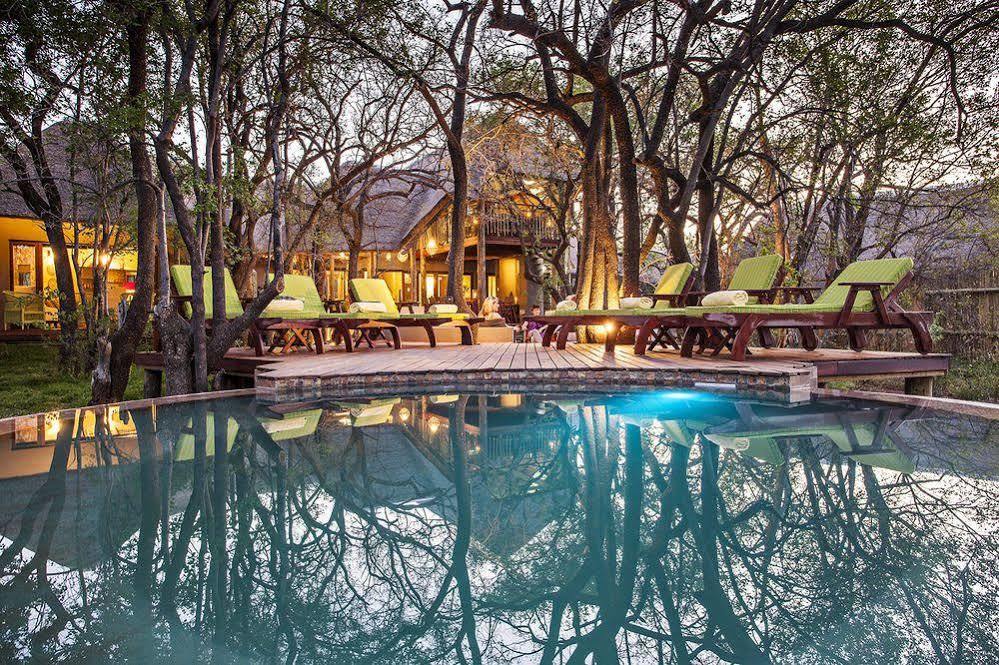 Tambuti Lodge Pilanesberg Zewnętrze zdjęcie